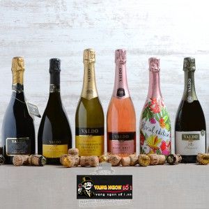 Vang nổ Ý Valdo Valdobbiadene Prosecco Superiore Salento DOCG Cao cấp bn1