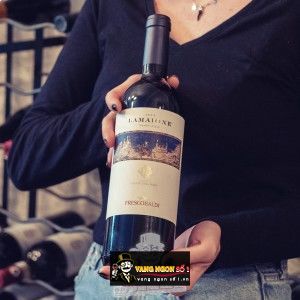 Vang Ý Lamaione Frescobaldi Toscana CastelGiocondo Cao cấp bn1