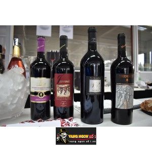 Vang Ý Pliniana Re Noire Primitivo di Manduria Cao cấp bn1