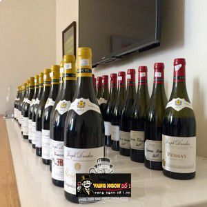 Vang Pháp Montagny Premier Cru Joseph Drouhin bn2