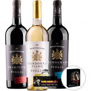 Vang Ý Montecore Chardonnay - Fiano IGP bn2