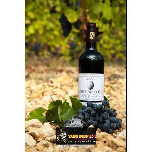 Vang Pháp Saut de Cote Alain Chabanon bn4