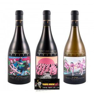 Vang Pháp Pont des Arts Yue Minjun Label Cote de Nuits Villages bn3