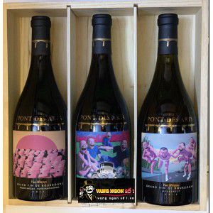 Vang Pháp Pont des Arts Yue Minjun Label Cote de Nuits Villages bn4