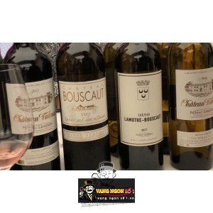 Vang Pháp Chateau Bouscaut Rouge Grand Cru Classes de Graves 94 điểm bn1