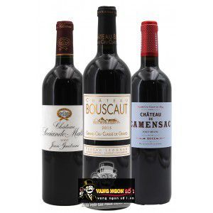 Vang Pháp Chateau Bouscaut Rouge Grand Cru Classes de Graves 94 điểm bn2