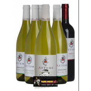 Vang Ý Attems Pinot Grigio Venezia Giulia bn2