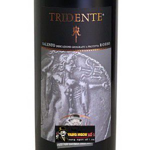 Vang Ý Tridente Salento Rosso IGP bn2