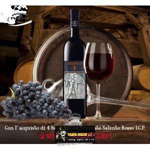 Vang Ý Tridente Salento Rosso IGP bn3