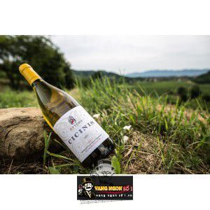 Rượu vang Attems Cicinis Collio bn2