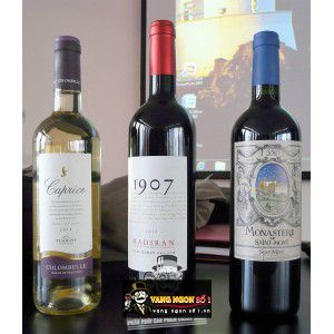 Vang Pháp Plaimont 1907 Madiran bn1