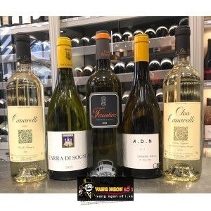 Vang Pháp Clos Canarelli BG Biancu Gentile bn1