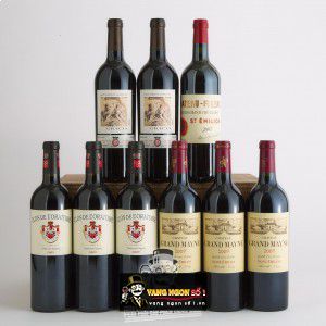 Vang Pháp Chateau Grand Mayne Saint Emilion Grand Cru Classe bn3