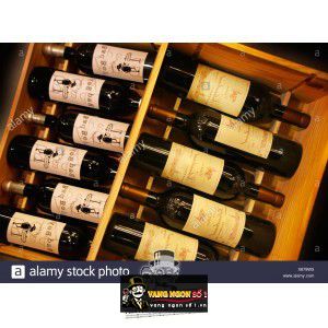 Vang Pháp Thunevin Bad Boy Bordeaux bn2