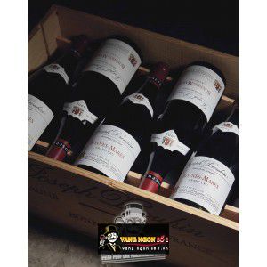 Vang Pháp Saint Amour Joseph Drouhin bn1