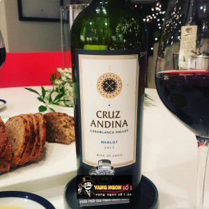 Vang Chile Cruz Andina Merlot