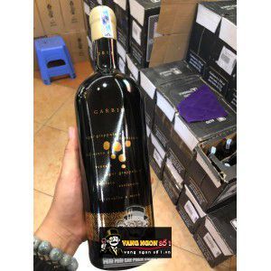 Vang Ý Garbin Vino Rosso Blend Veneto 15 độ