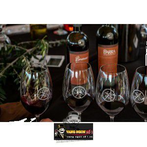 Vang Mỹ Parducci Coro Mendocino Blend bn3