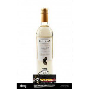 Vang ChiLe ChiLano (Red – White) bn1