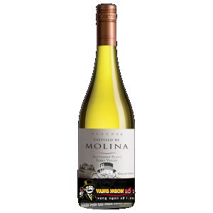 Vang Chile Castillo de Molina San Pedro Reserva Đỏ - Trắng bn1