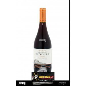 Vang Chile Castillo de Molina San Pedro Reserva Đỏ - Trắng bn2