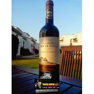 Vang Chile Castillo de Molina San Pedro Reserva Đỏ - Trắng bn3