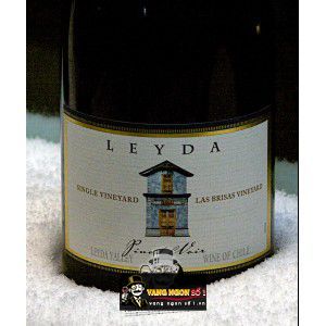 Vang Chile Leyda Single Vineyard Las Brisas Pinot Noir bn3