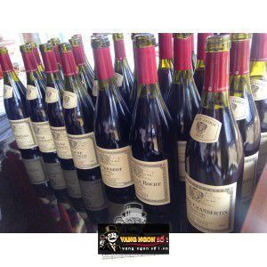 Vang Pháp Beaune Boucherottes Louis Jadot bn2