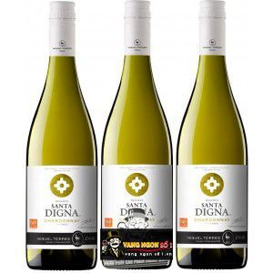Vang Chile Santa Digna Chardonnay Reserva Miguel Torres bn3