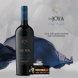 Vang Chile La Joya Single Vineyard Cabernet Sauvignon Bisquertt bn2