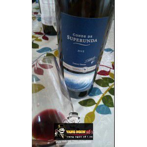 Vang Chile Conde de Superunda Migeul Torres bn1