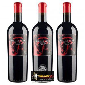 Vang Chile Caballo Loco Grand Cru Maipo Andes