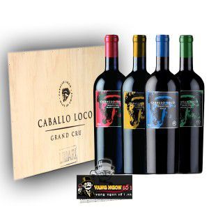 Vang Chile Caballo Loco Grand Cru Maipo Andes bn1