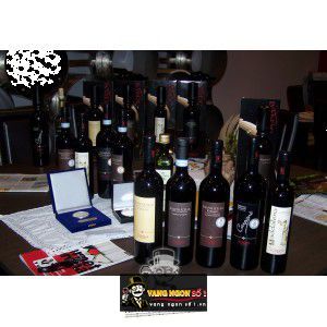 Vang Ý Villabella Valpolicella Classico I Roccoli bn1
