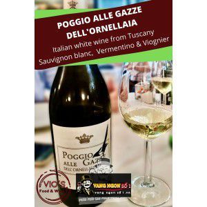 Vang Ý Ornellaia Poggio Alle Gazze Blanc Blend bn3