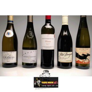 Vang Pháp Petit Bourgeois Cabernet Franc bn2