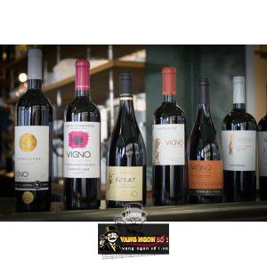 Vang Chile Vigno Old Vines Dry Farmed Concha Y Toro Carignan bn1