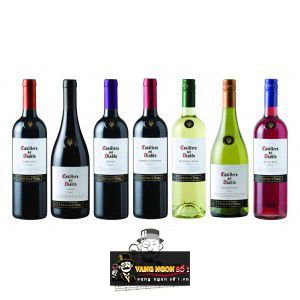 Vang Chile Casillero Del Diablo Sauvignon Blanc Concha Y Toro bn2