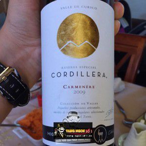 Vang Chile Cordillera Carmenere Migeul Torres bn1