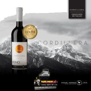 Vang Chile Cordillera Carmenere Migeul Torres bn2