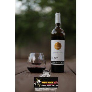 Vang Chile Cordillera Carmenere Migeul Torres bn3