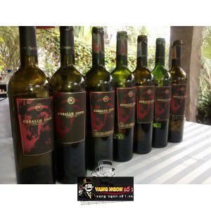 Vang Chile Valdivieso Caballo Loco Number Fourteen Cao Cấp bn2