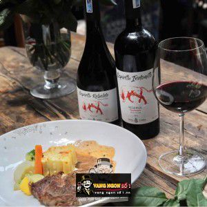 Vang Chile Espiritu Rebelde Syrah Reserva bn1