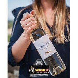 Vang Chile Albaclara Haras De Pirque Sauvignon Blanc bn1