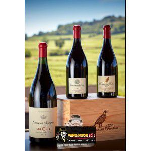 Vang Pháp Domaine des Perdrix Nuits Saint Georges Premier Cru bn2