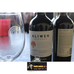 Vang Chile Undurraga Aliwen Reserva Cabernet Sauvignon - Camenere bn1