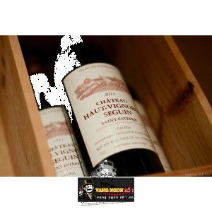 Vang Pháp Chateau Haut Vignoble Seguin 2011 bn1