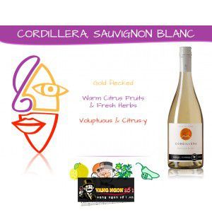 Vang Chile Cordillera Miguel Torres Sauvignon Blanc bn2