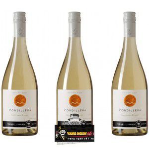 Vang Chile Cordillera Miguel Torres Sauvignon Blanc bn3