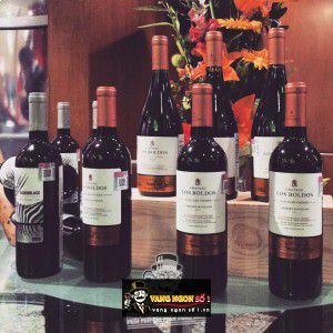 Vang Chile Chateau Los Boldos Vieilles Vignes Merlot bn2